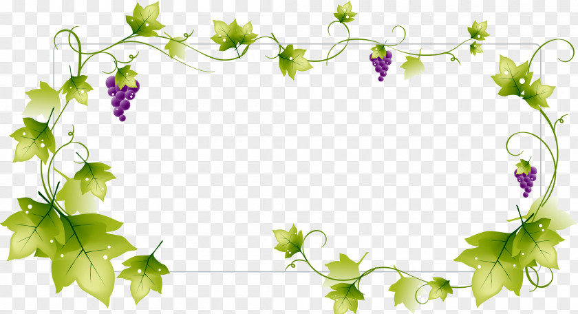 Fall Season Wine Common Grape Vine Green PNG
