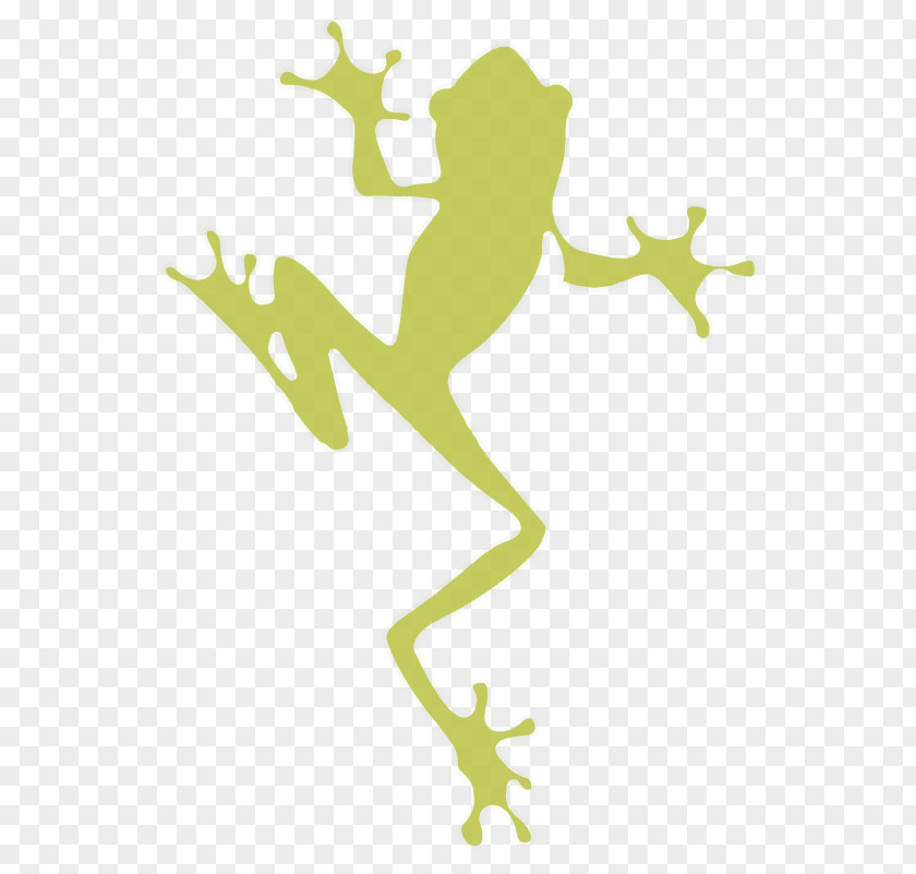 Frog Tree Vector Graphics Image Illustration PNG