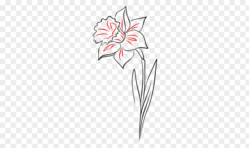 Gerbera Flower Line Art Drawing PNG