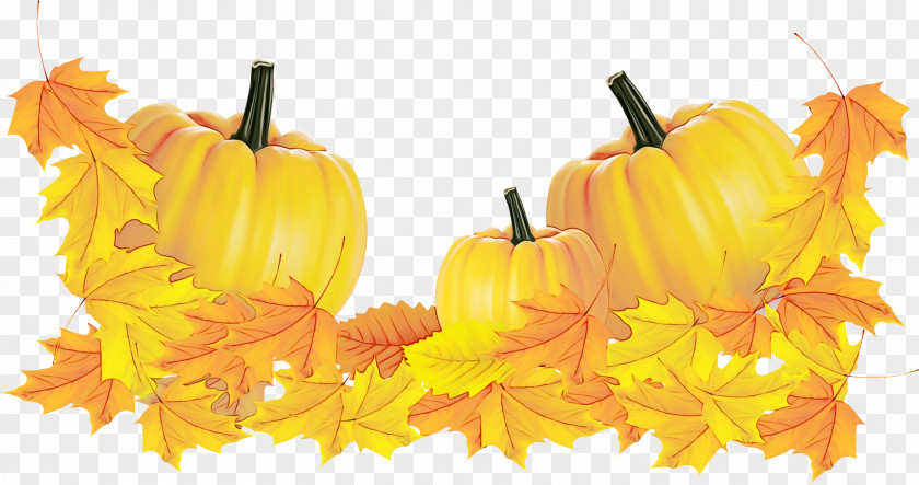 Pumpkin PNG