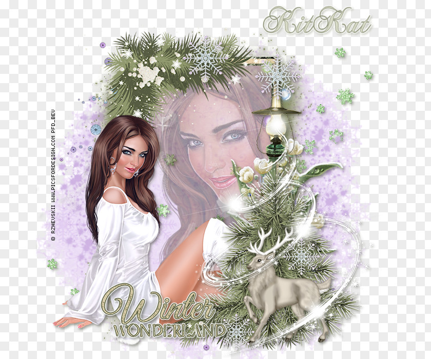 Winter Tutorial Floral Design Christmas Ornament Fairy PNG