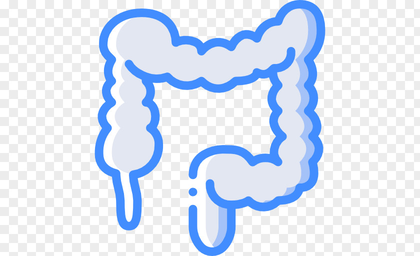 Intestinal Icon Large Intestine Medicine Gastroenterology PNG