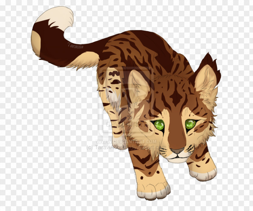 Tiger Big Cat Cougar Wildcat PNG