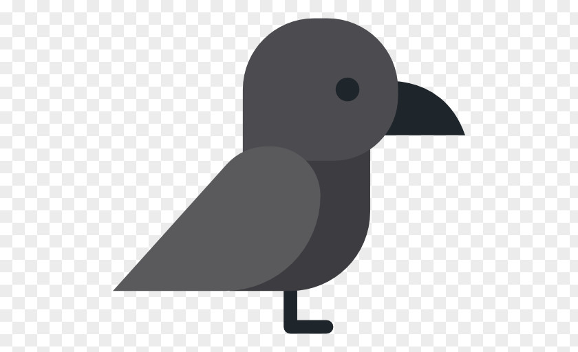 Common Raven Clip Art PNG