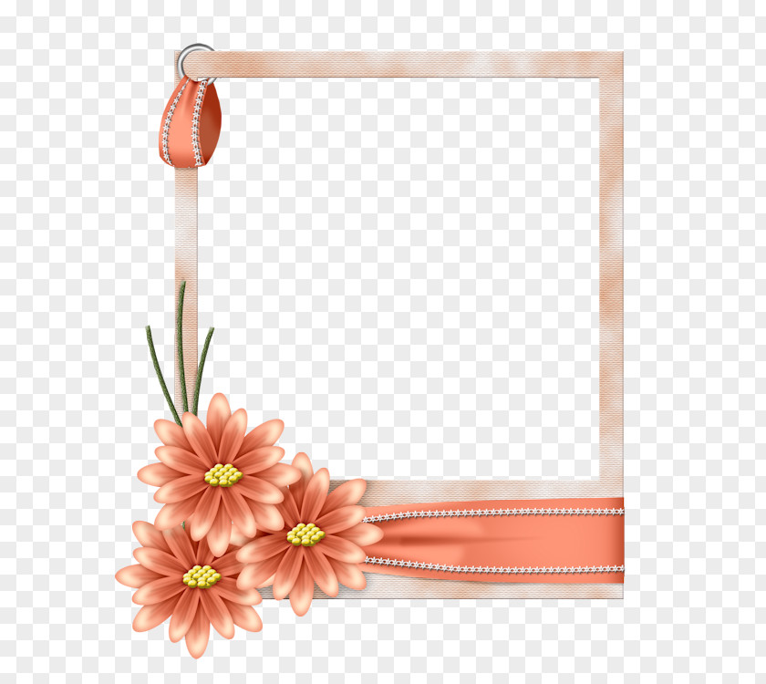 Flower Picture Frames Clip Art PNG