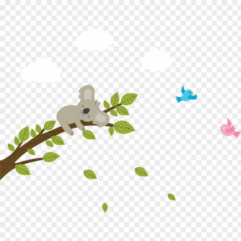 Koala Desktop Wallpaper Petal Laptop PNG