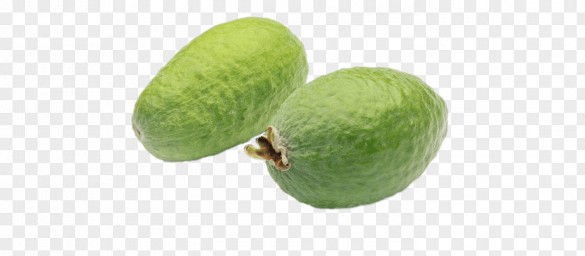 Lime Feijoa Key Superfood PNG