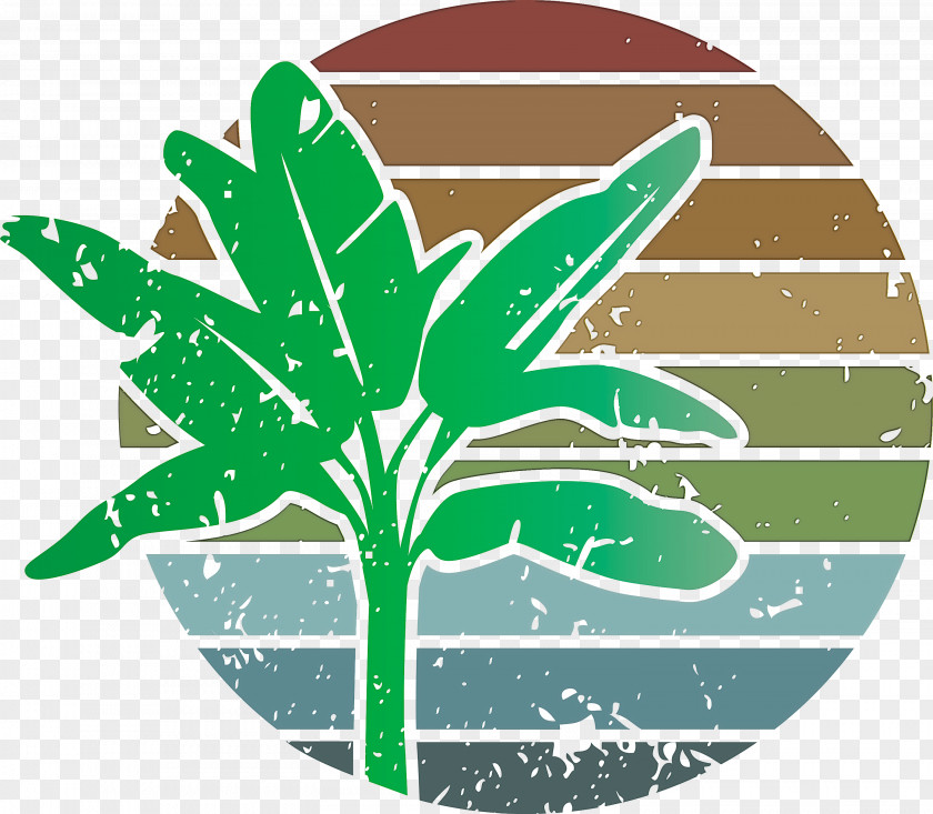 Summer Palm PNG