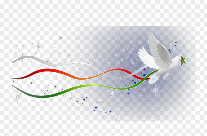 White Dove Fly Software Graphic Design PNG
