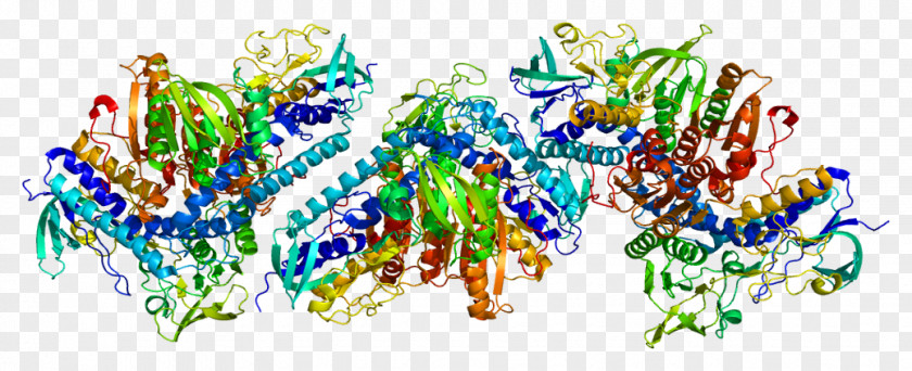 Flavin Adenine Dinucleotide TXNRD1 Thioredoxin Reductase Logo Gene PNG