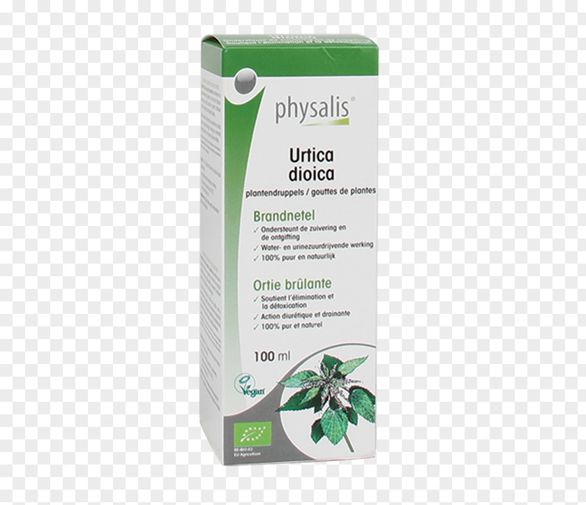 Physalis Common Nettle Dietary Supplement Milk Thistle Dioecy PNG
