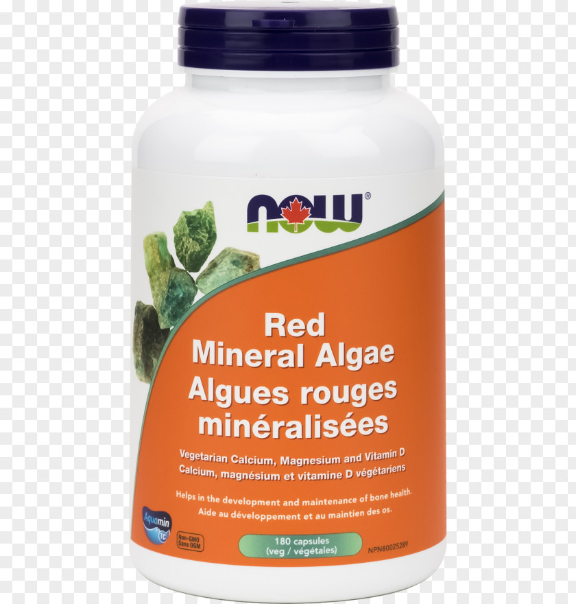 Red Algae Dietary Supplement Lysine NOW Foods Health PNG