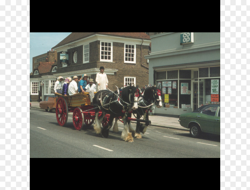 Wedding Carriage Brighton Wagon Vehicle PNG