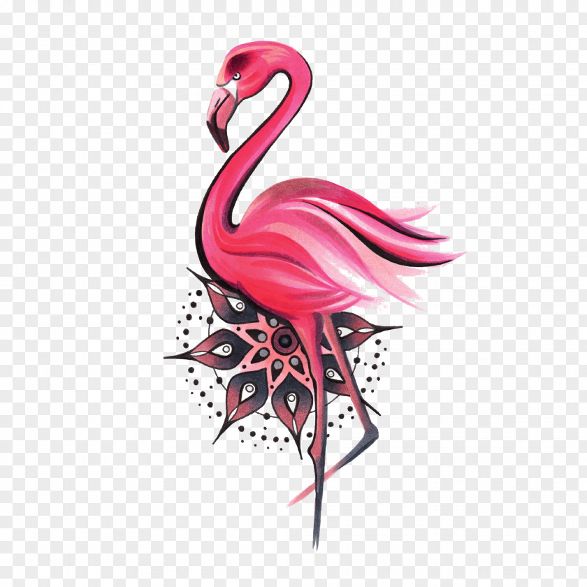 Bird Mandala Water Greater Flamingo Symbol PNG