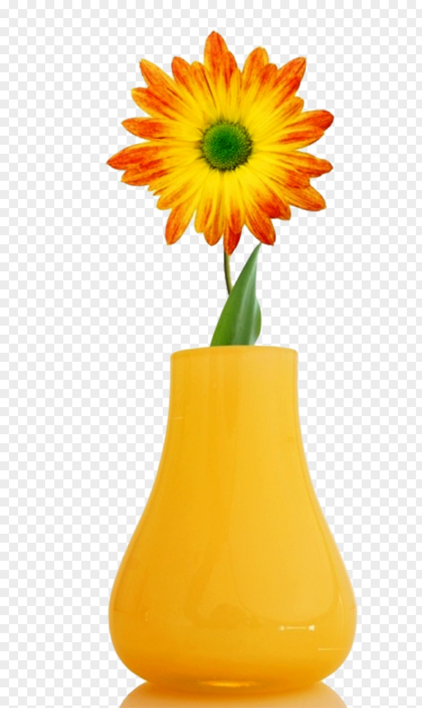 Flower Vase High-definition Television Desktop Wallpaper 1080p PNG