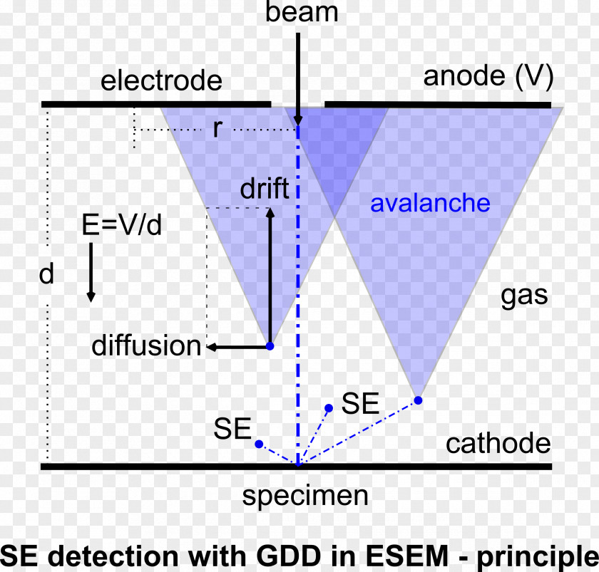 Order Of Magnitude Environmental Scanning Electron Microscope Everhart-Thornley Detector Secondary Electrons PNG