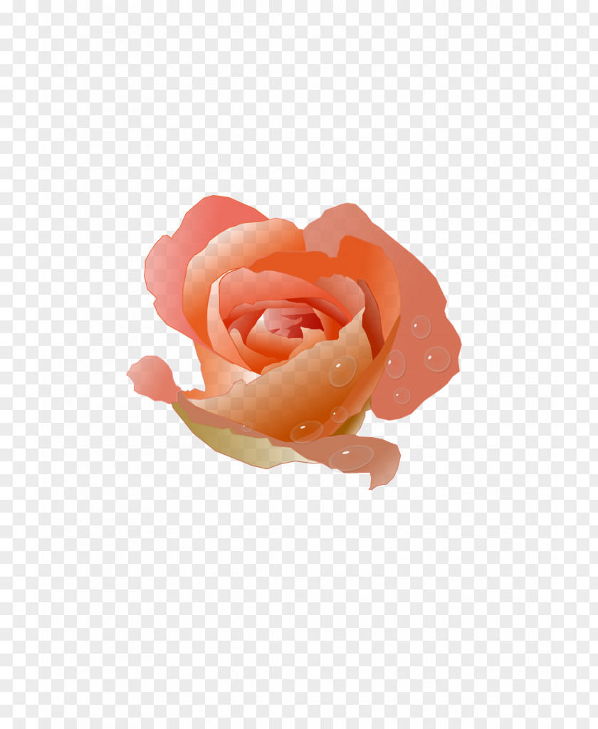 Small Logs Cliparts Peach Rose Flower Clip Art PNG