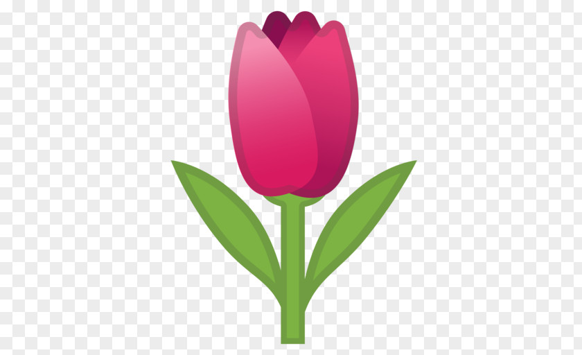 Tulip Emojipedia Netherlands World Emoji Day PNG