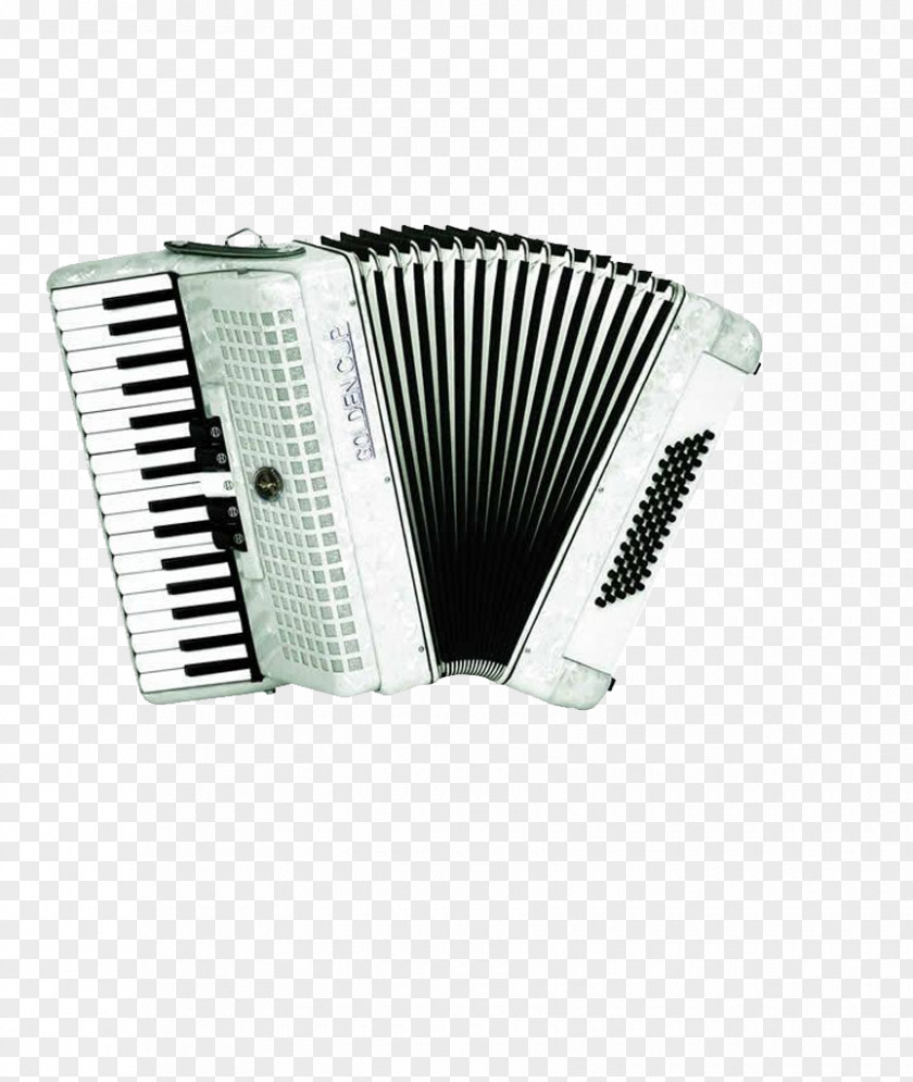 Accordion Instrument Bass Guitar Keyboard Musical Singing PNG