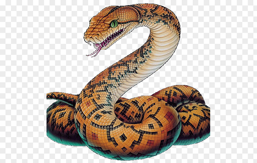 Anaconda Bubble Snakes Reptile Vipers Image Drawing PNG