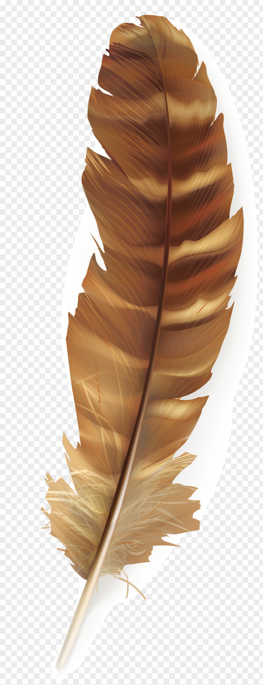 Brown Feathers Bird Feather Poster PNG