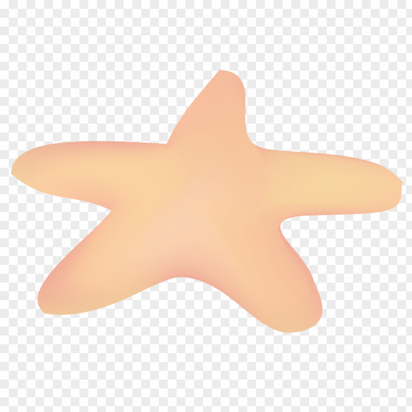 Fine Starfish Euclidean Vector PNG