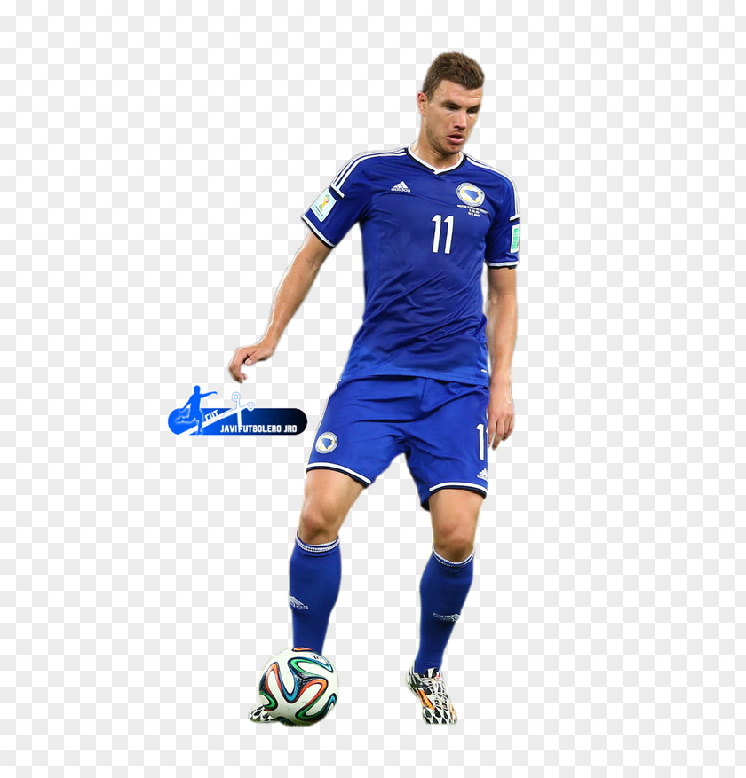 Football Bosnia And Herzegovina National Team 2014 FIFA World Cup Manchester City F.C. Soccer Player PNG