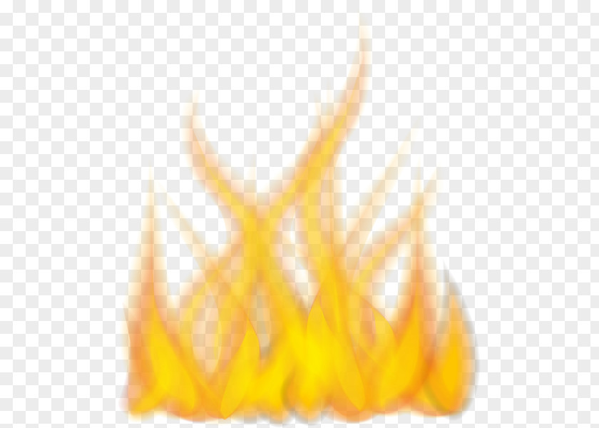 Frie Flame Desktop Wallpaper Clip Art PNG