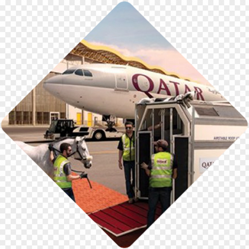 Harsh Environment Doha Cargo Airline Transport Air PNG