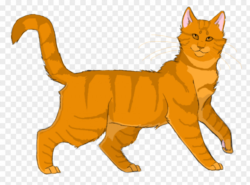 Lithe Warriors Erin Hunter Lionblaze Dovewing Hollyleaf PNG