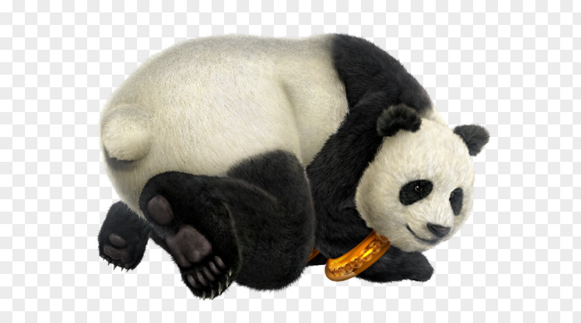 Panda Tekken 3 6 5: Dark Resurrection PNG