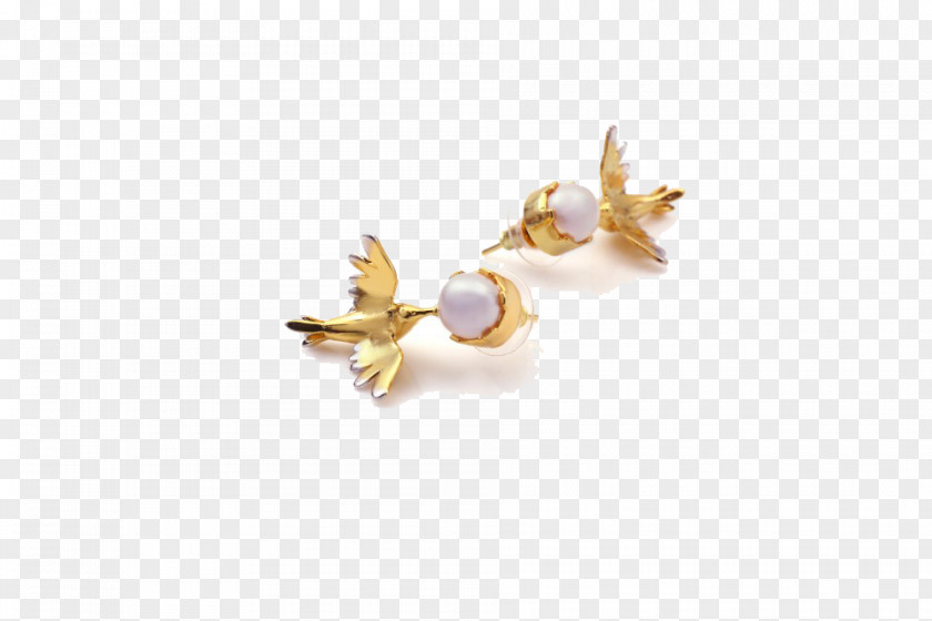 Peacock Wedding Nails Earring Lovebird Nighthawks Pearl PNG