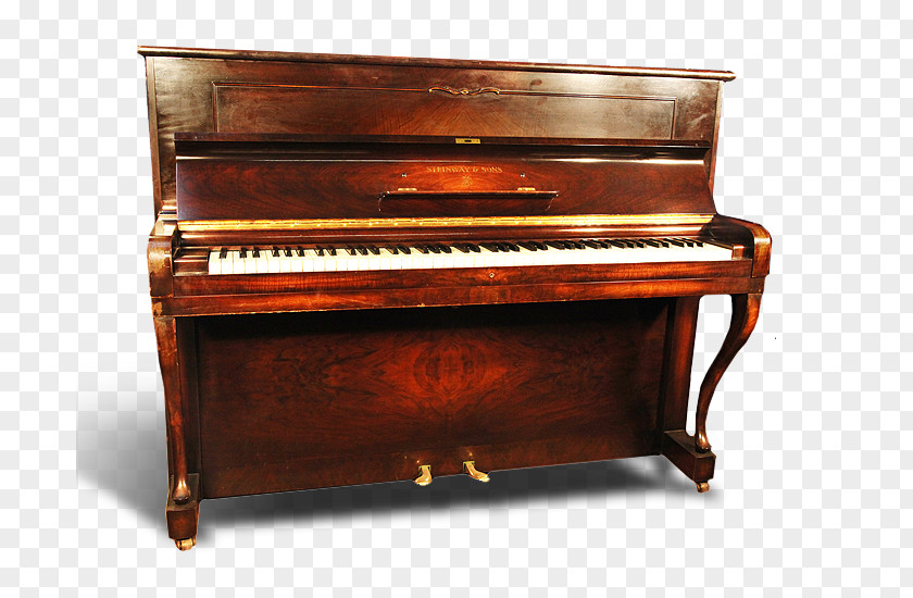 Piano Player Upright C. Bechstein Grand PNG