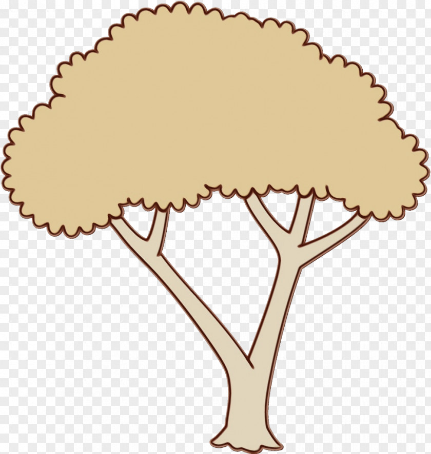 Plant Leaf Tree PNG