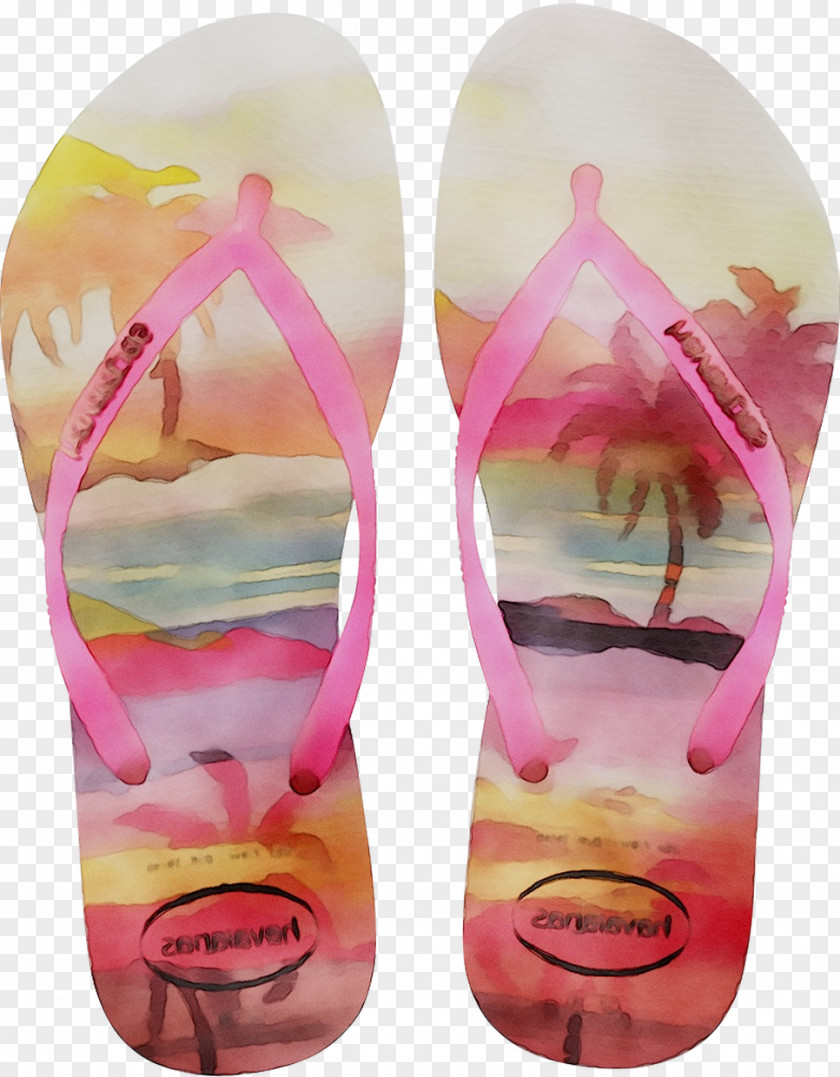 Slipper Havaianas Shoe Flip-flops Sandal PNG