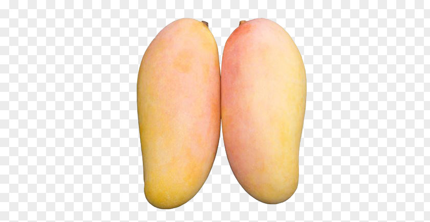 Two Mangoes Mango PNG