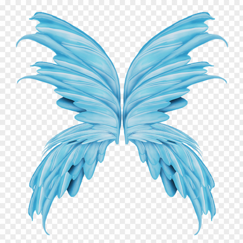 Wings Material Wing Feather Clip Art PNG