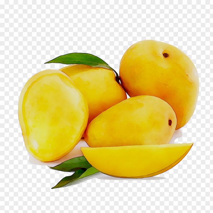 Alphonso Mango Fruit Mangifera Indica Totapuri PNG