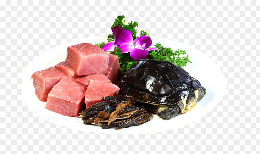 Ganoderma Stew Of Wild Turtles Lingzhi Mushroom Chinese Herbology Meat Download PNG