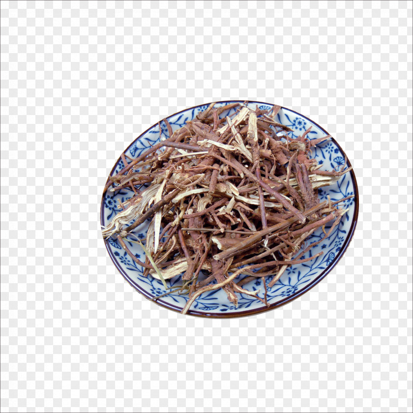 Herbs Traditional Chinese Medicine Herbology PNG