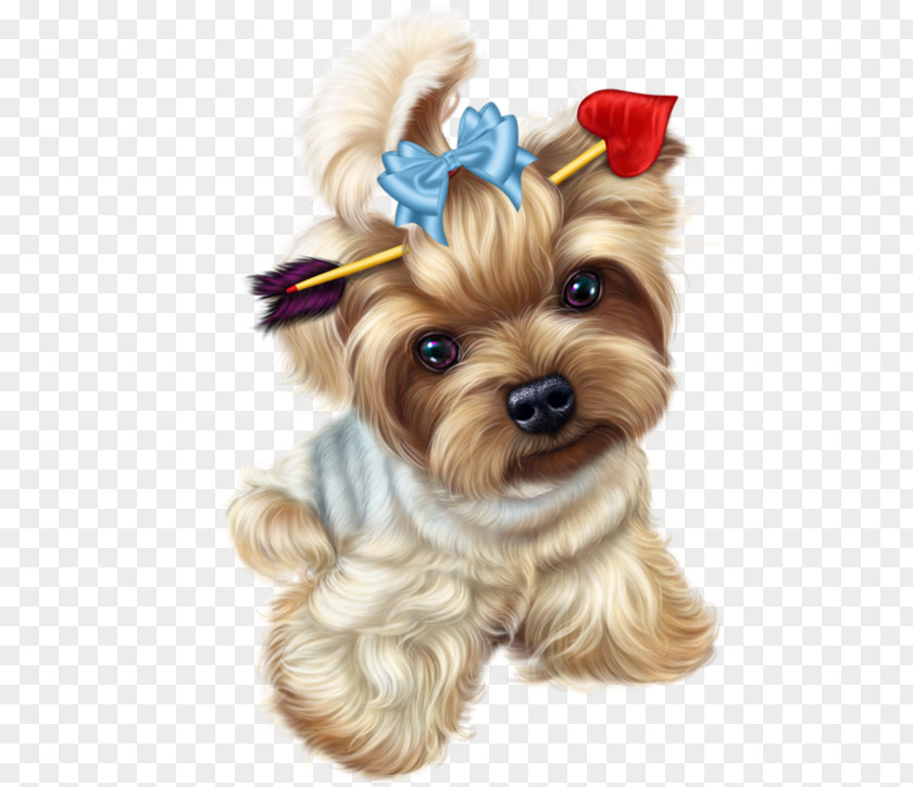 Puppy Yorkshire Terrier Pomeranian Pug PNG