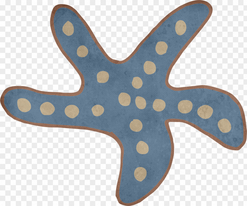 Starfish Drawing Gratis PNG