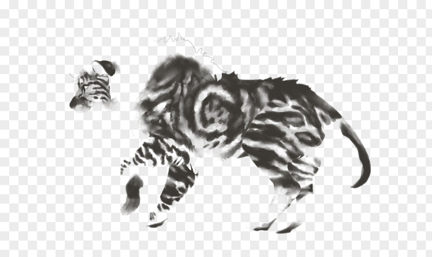 Sunset Lion Cat Tiger Mammal Carnivora Animal PNG