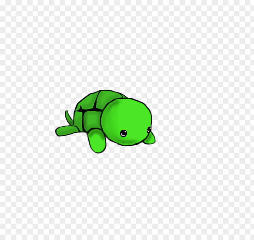 Tortoide Turtle Drawing Cuteness Sketch PNG