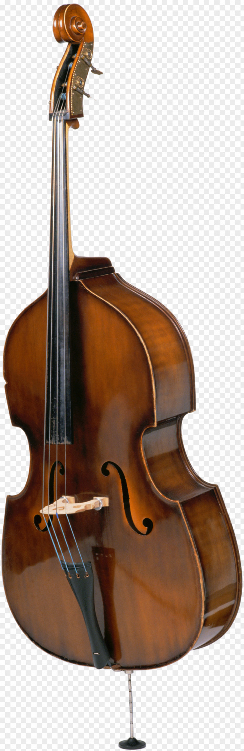 Wind Instruments Double Bass String Guitar Photography Cello PNG