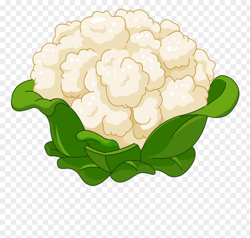 Delicious Cauliflower Cartoon Royalty-free Clip Art PNG