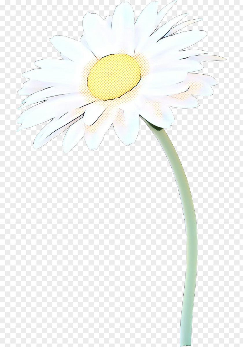 Gerbera Flower Daisy PNG