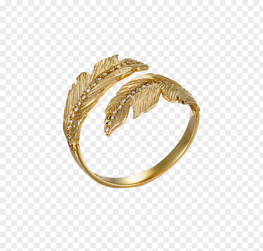 Golden Feathers Gold Silver Bangle PNG