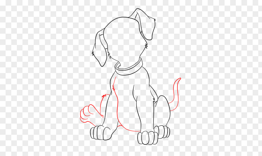 Puppy Dog Breed Line Art Drawing Clip PNG