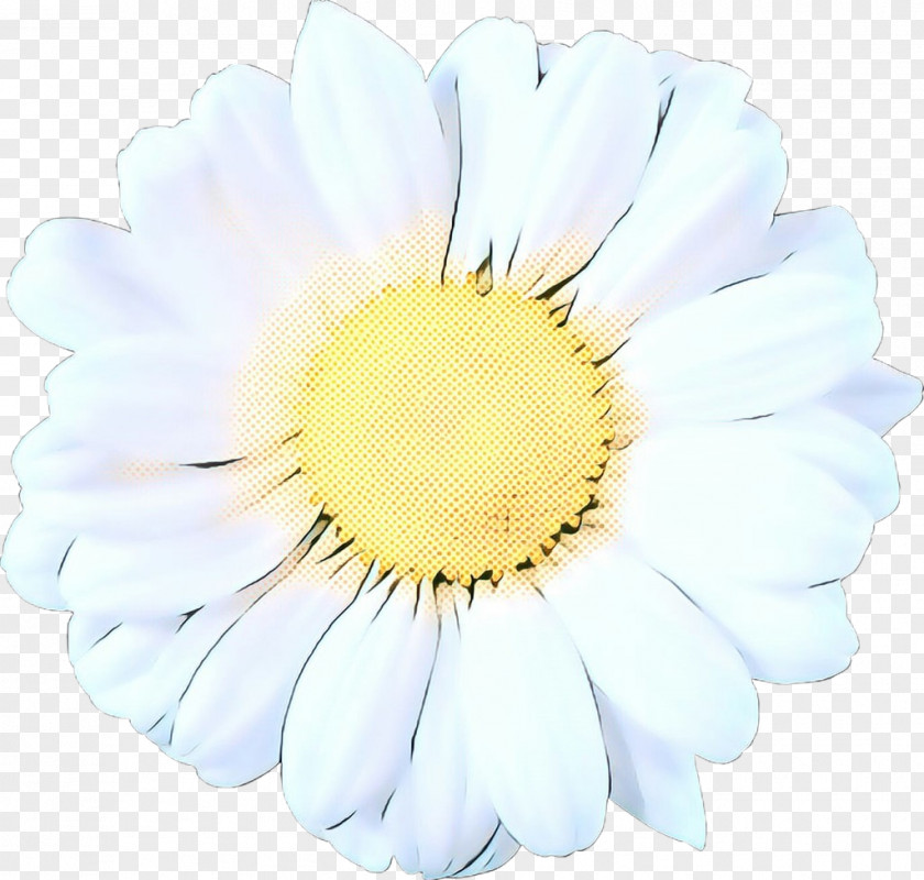 Transvaal Daisy Cut Flowers PNG